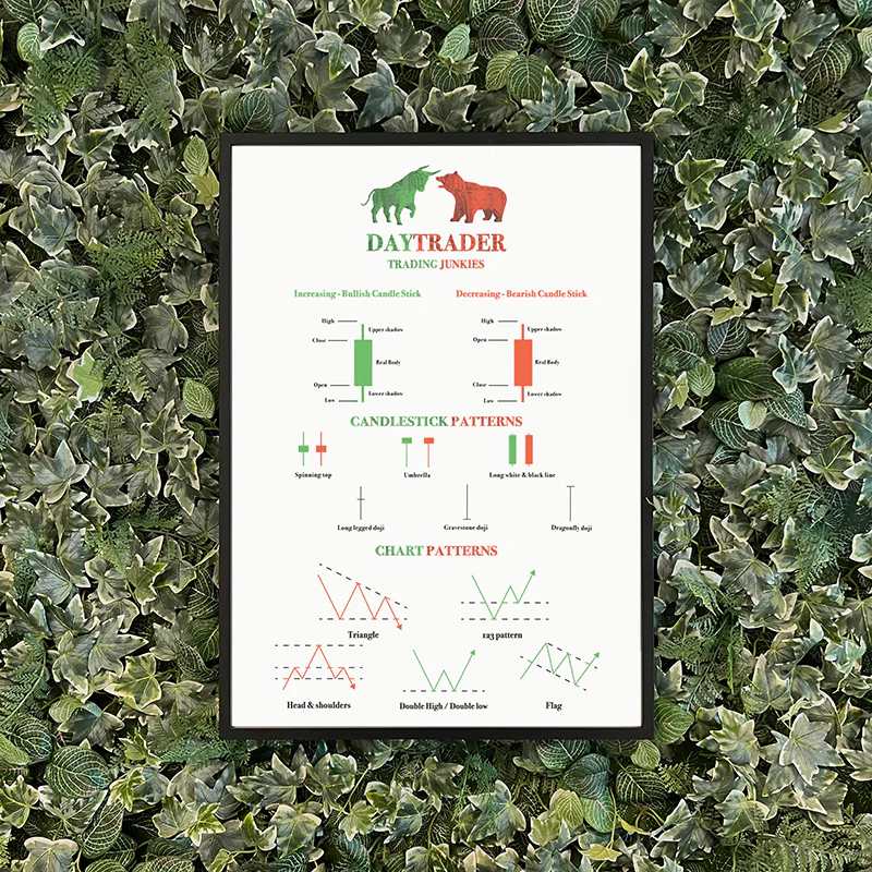 Day Trader Chart Patterns Poster – White Edition